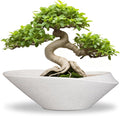 Bonsai Tree Pot - 12 Inch Ceramic Planter with Drainage Hole, Modern Succulent Pots for Indoor & Outdoor, Decorative Planter for Home Decor, Plant Lover Gifts, White-Black