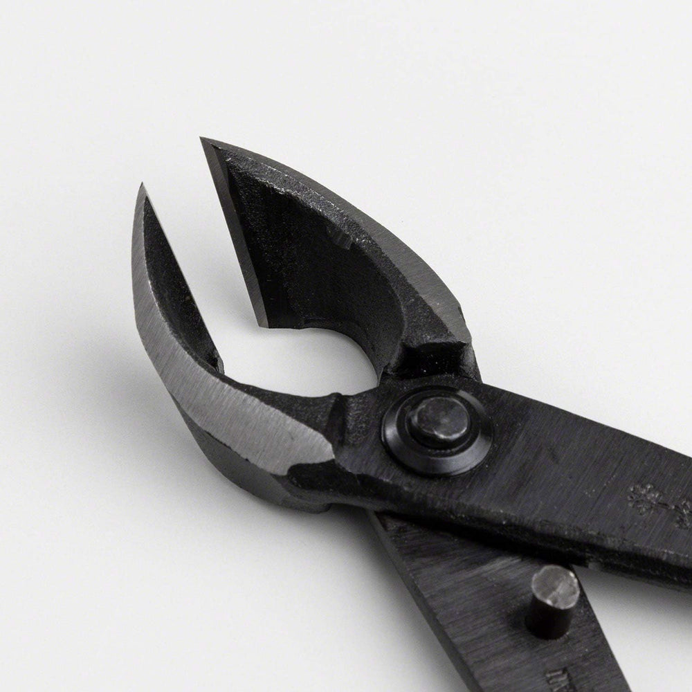 Wazakura Bonsai Concave Branch Cutter 8in, Hand Forged Japanese Steel