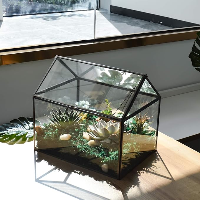 Black 1 Large Glass Plant Terrarium Kit with Lip Greenhouse for Succulents