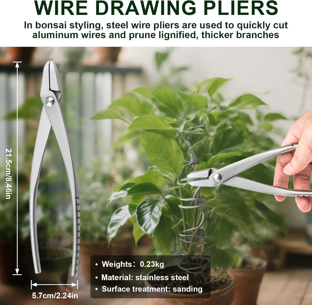 6 PCS Bonsai Pruning Tool Set, 6 Different Roles of Scissors to Meet All the ...