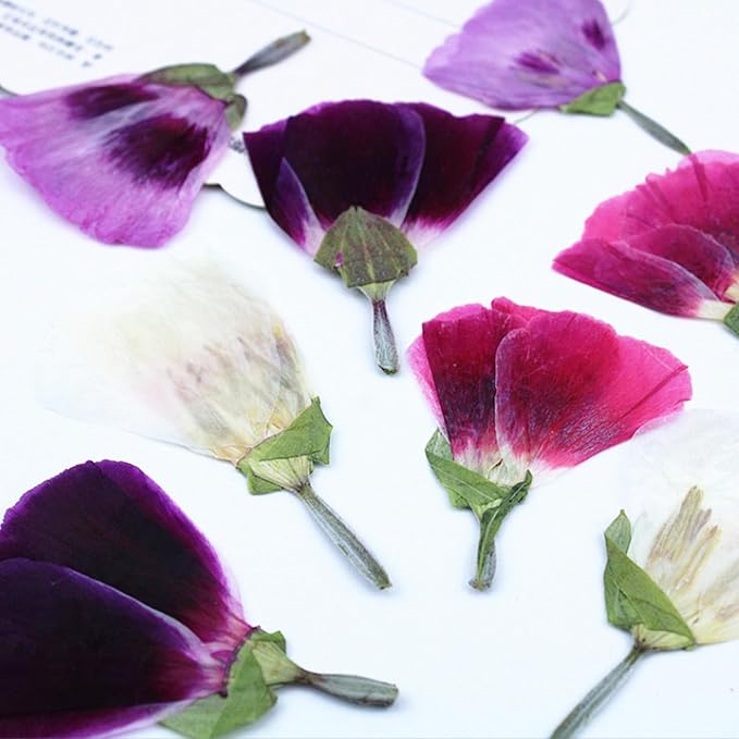 48 Pcs Dried Pressed Flowers for Crafts Art Resin DIY Natural Dry Floral Epoxy Jewelry Real Flower with Leaves Plants Decor Cakes Phone Cases Bookmarks Candles Handmade Soap Farewell