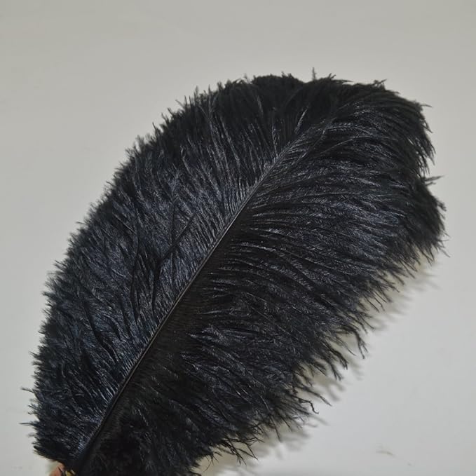 KOLIGHT 40pcs 12''~14''(30~35cm) Natural Ostrich Feathers for DIY Home Wedding Party Office Decoration (Black)