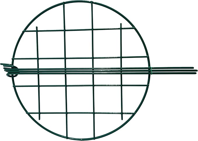 12 x 16 inch Poeny Cage Grow Through Grid Plant Brace Flower Support Rings, Pack of 10 Round Metal Plant Stakes Rings, Strong Large Garden Supports for Flowers, Peonies, Rose, Lily
