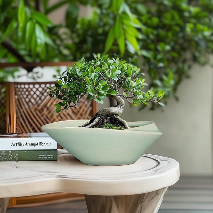 Bonsai Pot - 12 Inch Ceramic Planter Pot with Drainage Hole Large Modern Planter Decorative Glazed Succulent Plant Pot for Indoor Outdoor Plants Green