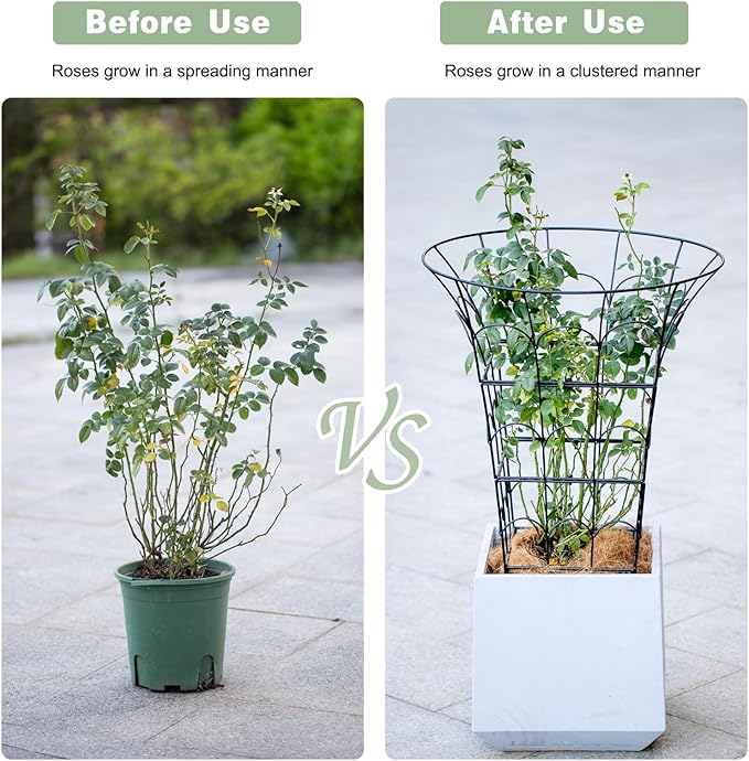 COOOXIM Peony Cages & Supports - Metal Plant Obelisk Trellis for Outdoor Use, 27.5 x 22 Inches, Perfect for Peonies, Roses, and Climbing Vines - Durable Garden Support Ring in M Shape