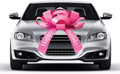 CarBowz Big Pink Car Bow, Happy Birthday Bow, Giant 30" Bow, Non Scratch Magnet, Weather Resistant Vinyl