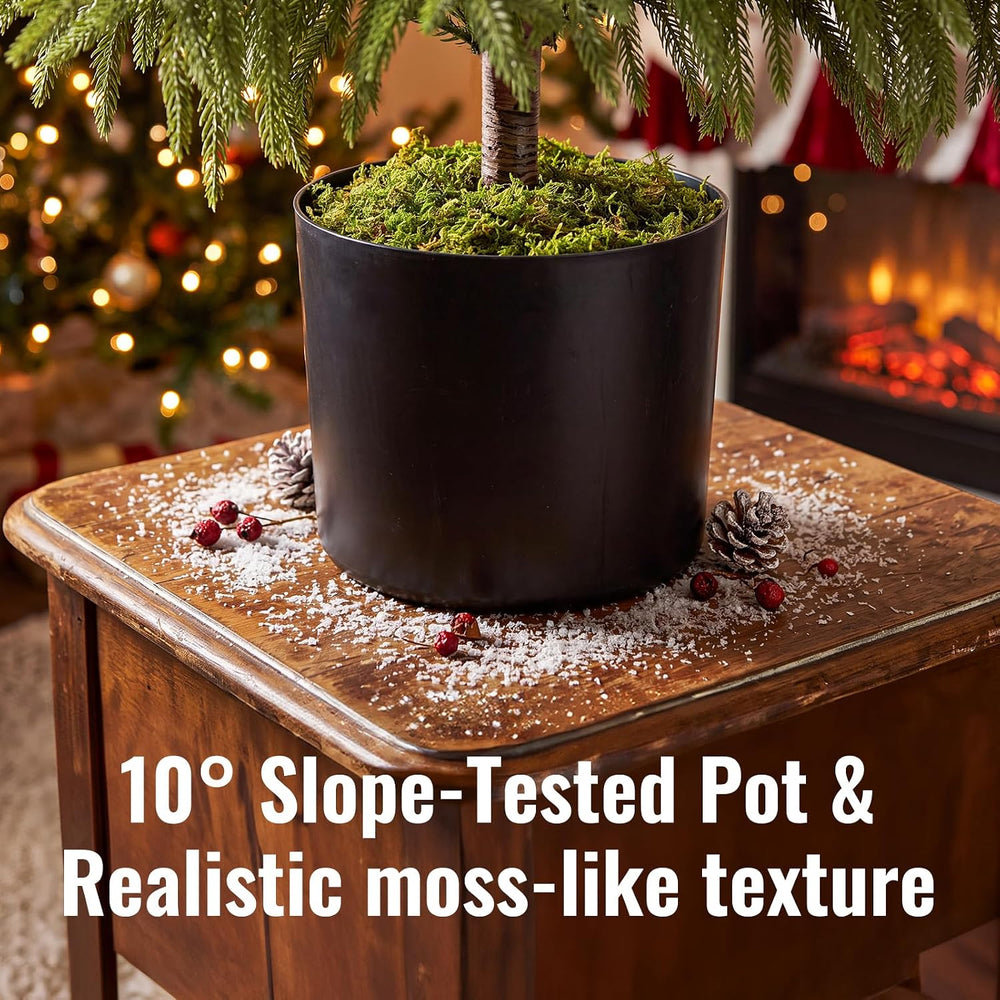 OasisCraft 4ft Pre-Lit Norfolk Pine Tree, Cordless, Real Touch