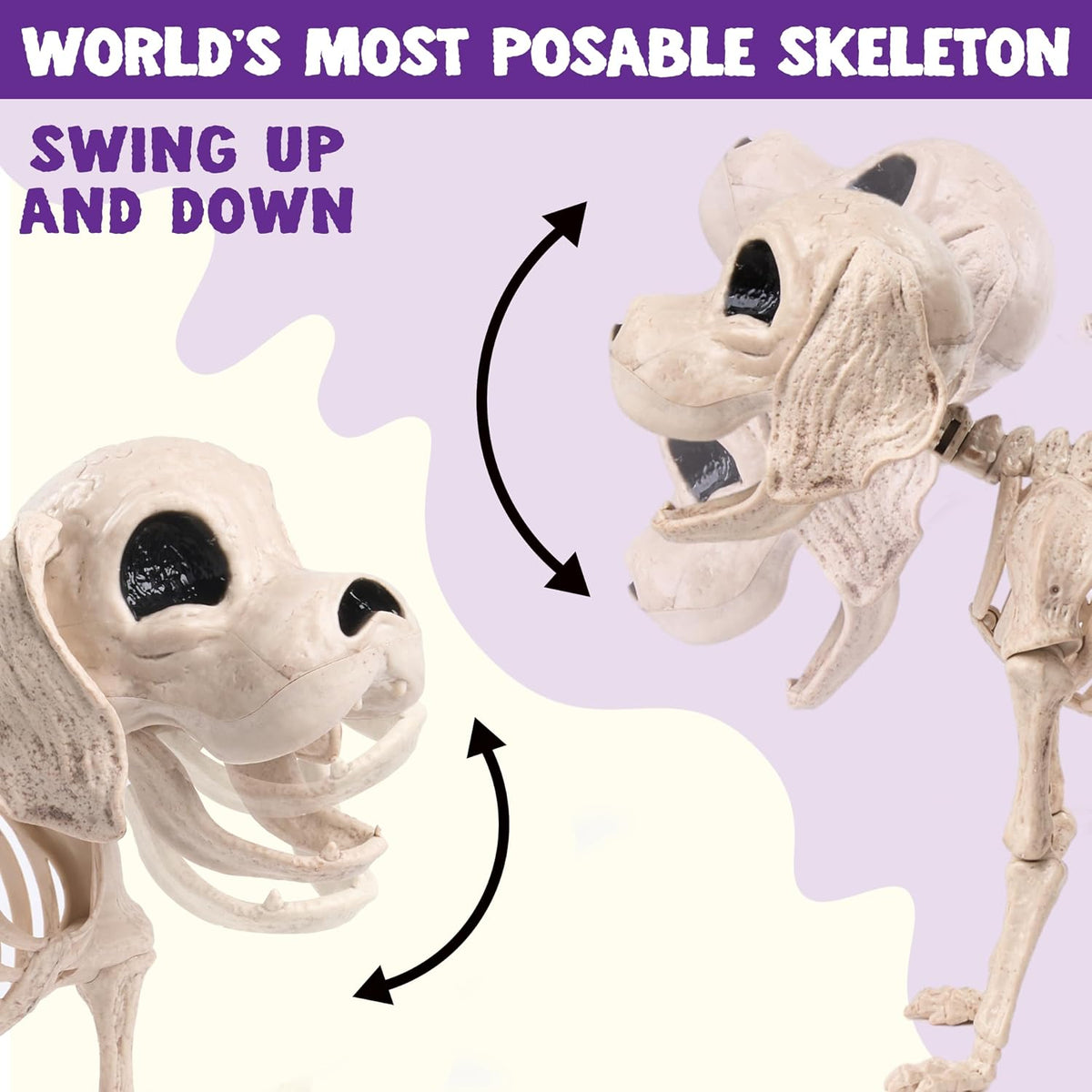JOYIN Posable Halloween Dog Skeleton Full Body Posable Joints Realistic Skeleton Puppy with Movable Joints for Halloween Decoration, Graveyard Party Decor (9.8” X 4.7” X 12.6”)