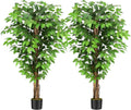 5ft Ficus Artificial Trees with Natural Curved Trunks, 60" Tall Lush Faux Tree for Home Decor Indoor, Green Lifelike Fake Ficus Tree Artificial Plants (Set of 2)