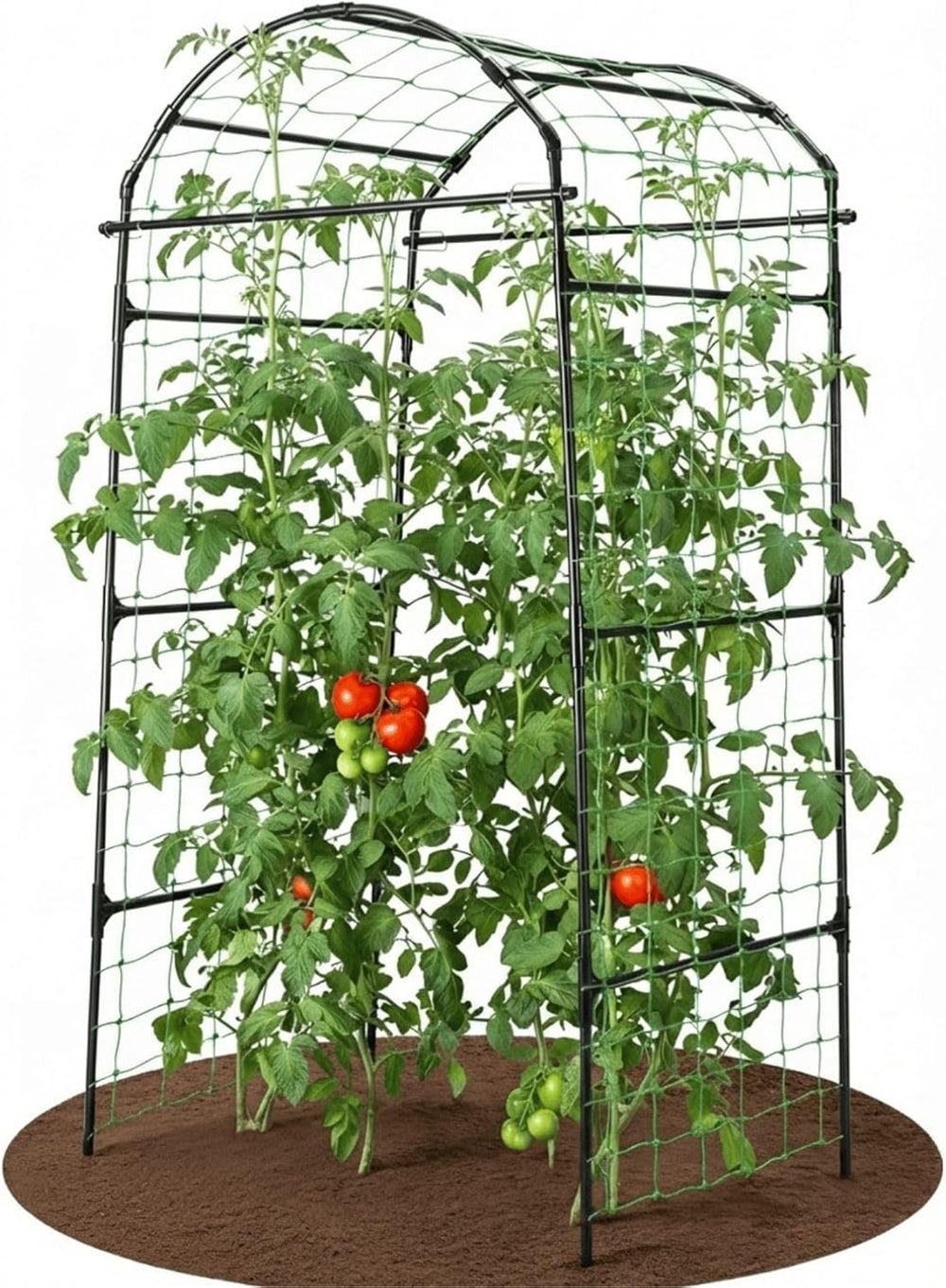 79" Tall Metal Cucumber Trellis Arch Sturdy Frame for 4FT Raised Garden Bed