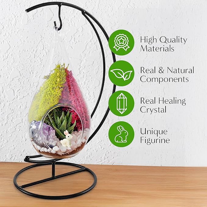 7" DIY Teardrop Terrarium Kit with Live Plants - Hanging Glass Planter with Stand for Adults & Kids - Build a Mini Ecosystem with Moss, Crystals, Tools - Made in The USA