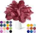NEWONG 30pcs Wine red Ostrich Feathers Natural Bulk 8-10in（20-25cm） Vase Craft Wedding Home Party Centerpieces Christmas Day Decoration