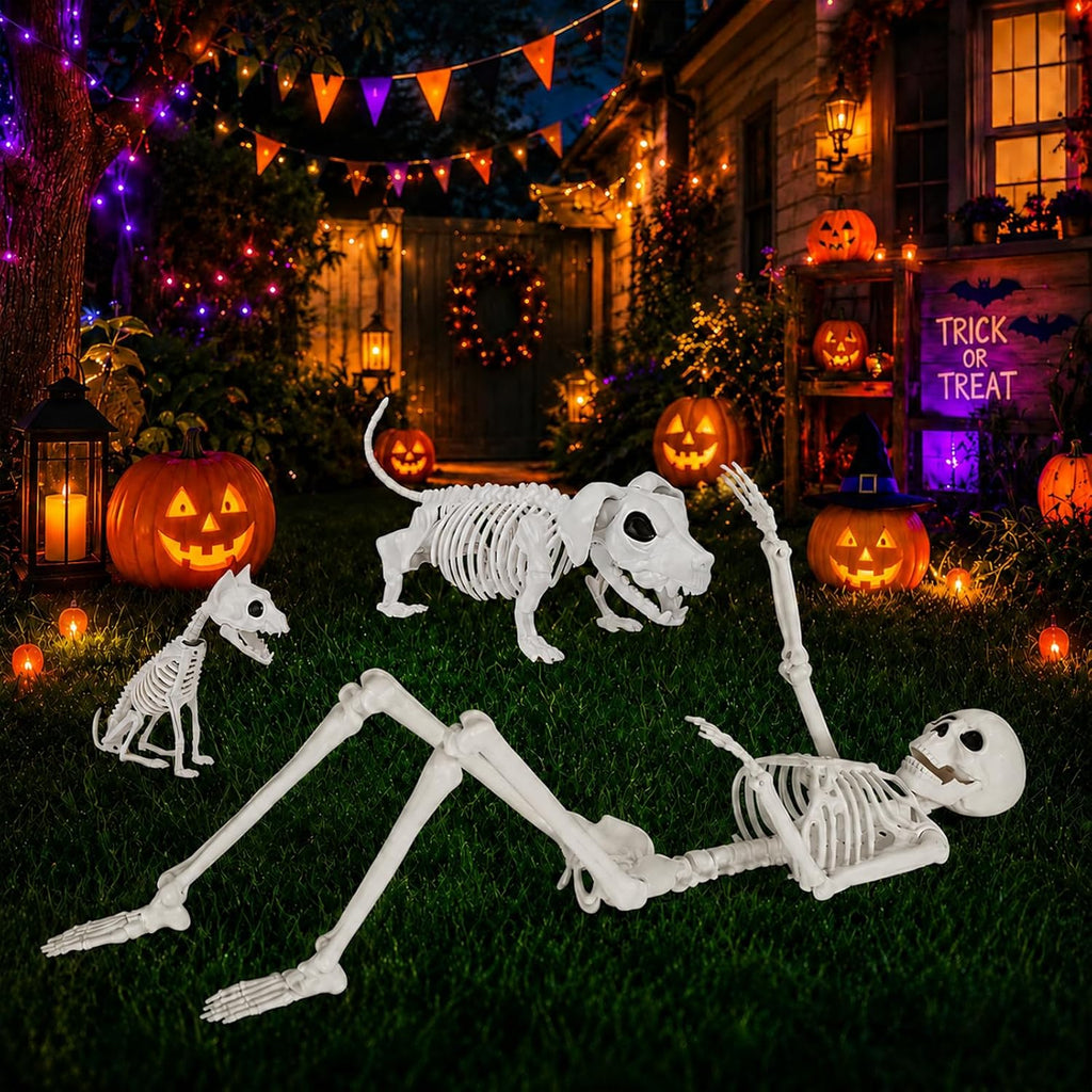 36" Halloween Skeleton Decorations - 3FT Posable Skeleton with Dog & Cat