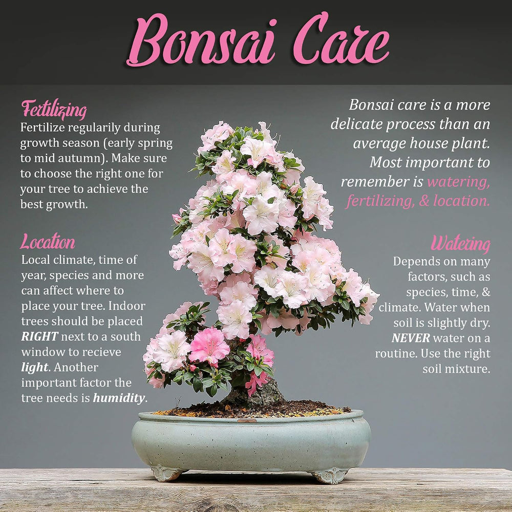 BambooMN Bonsai Basics Set - 8" Concave Cutter, 7" Heavy Duty Shear...