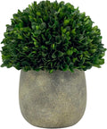 Galt International Preserved Natural Boxwood Ball in Grey Cement-Look Resin Pot Plant and Table Centerpiece Stunning Greenery and Plant Decor for Home - Grey & White Pot 9.5” Tall