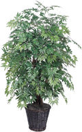 Vickerman 4' Artificial Ming Aralia Extra Full Set in Rattan Basket