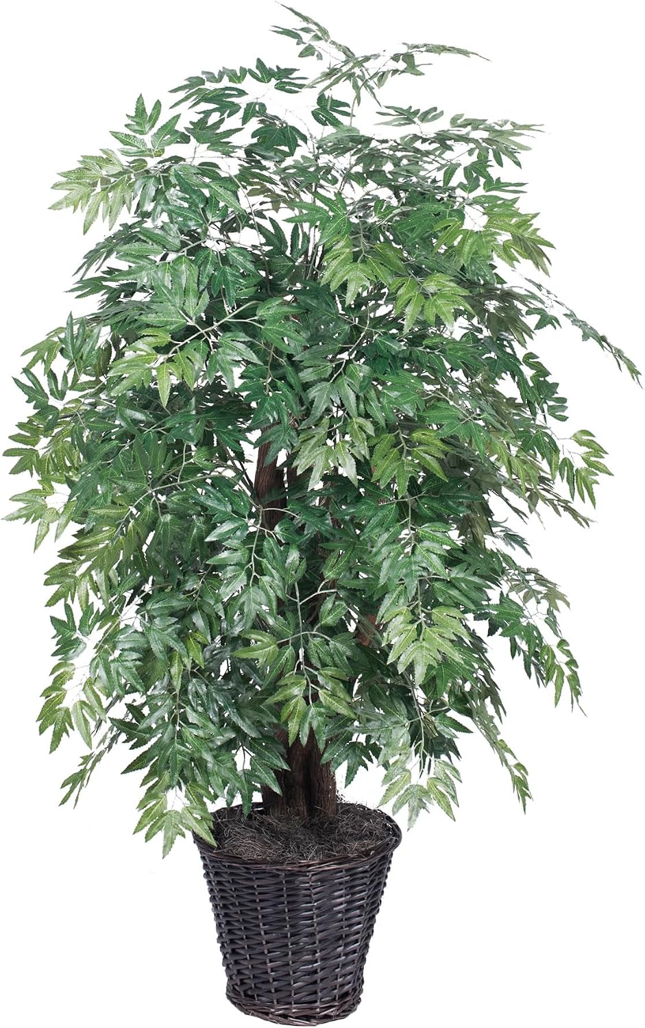 Vickerman 4' Artificial Ming Aralia Extra Full Set in Rattan Basket