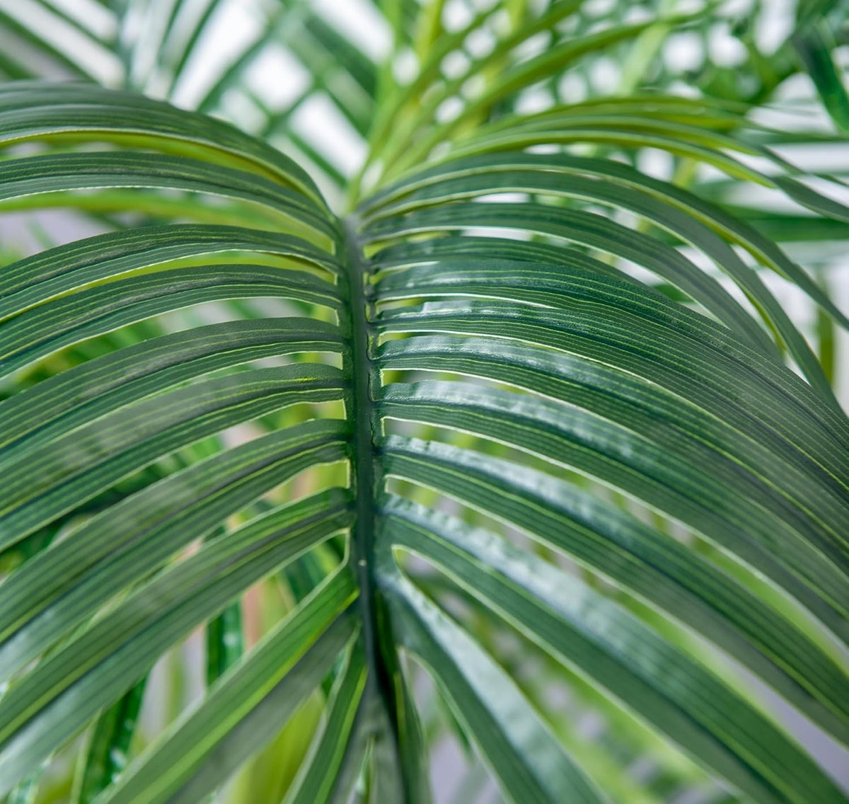 haihong 6ft artificial palm tree,faux areca palm plant shown in use