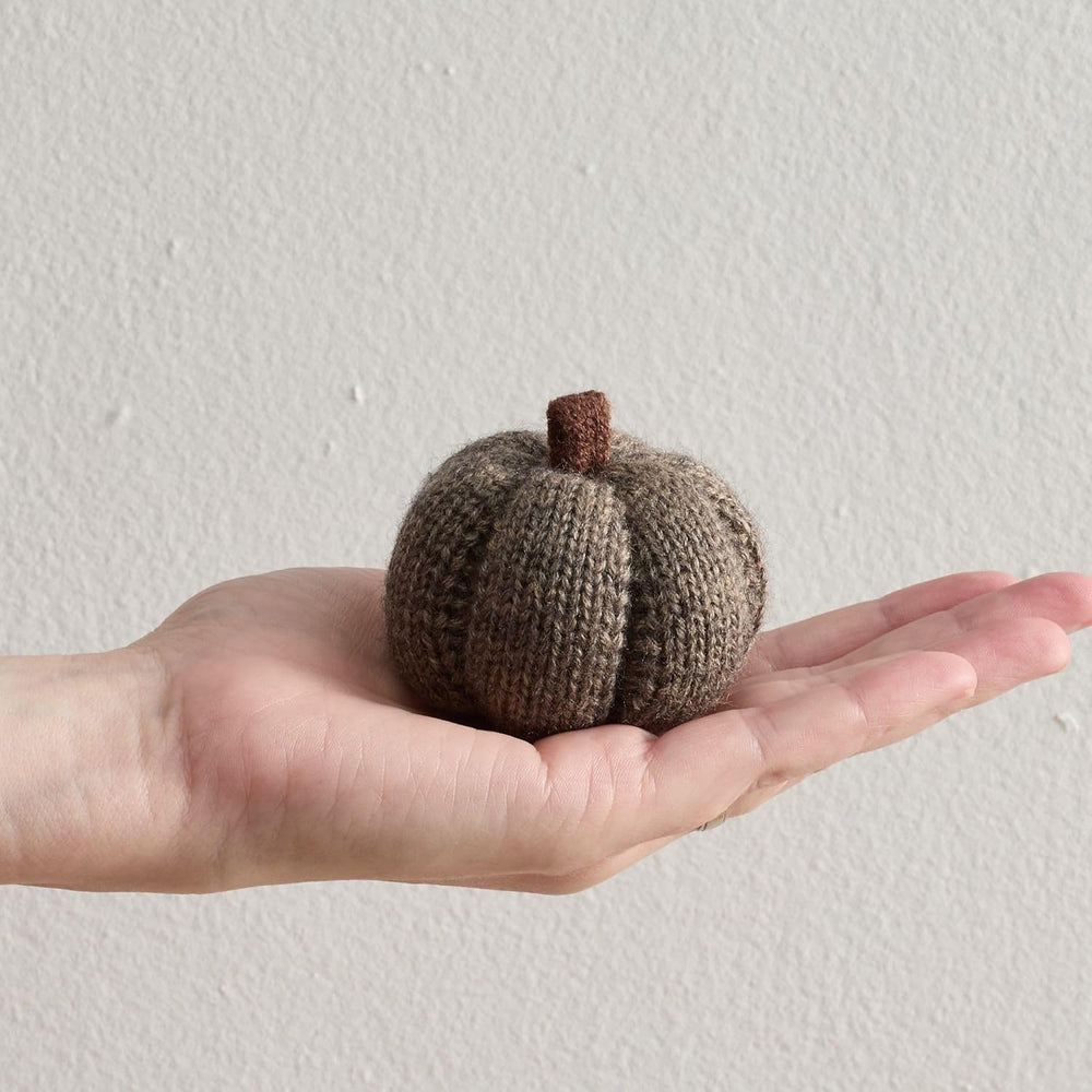 Cozy Mini Knit Pumpkin Set of 12 (Spiced Maple Full Set)