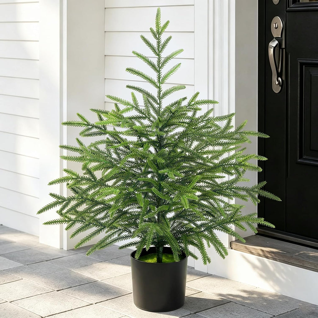 2 Ft Real Touch Christmas Tree with Lights, Realistic Norfolk Pine Tree