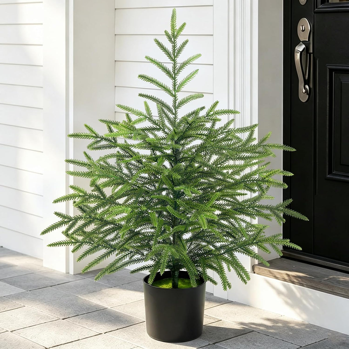 2 Ft Real Touch Christmas Tree with Lights, Realistic Norfolk Pine Tree