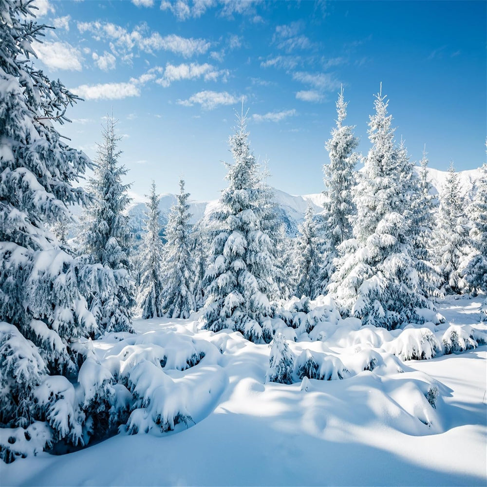 BELECO 10x10ft Fabric Winter Snow Backdrop White Xmas Trees Wintry Scene Alps...