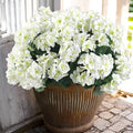 Hananona Artificial Geranium Flowers for Outdoors Geranium Silk Flowers Outdoor UV Resistant Garden Plants Faux Flowers for Home Kitchen Table Centerpieces Decor (12, White) (12 Pcs)