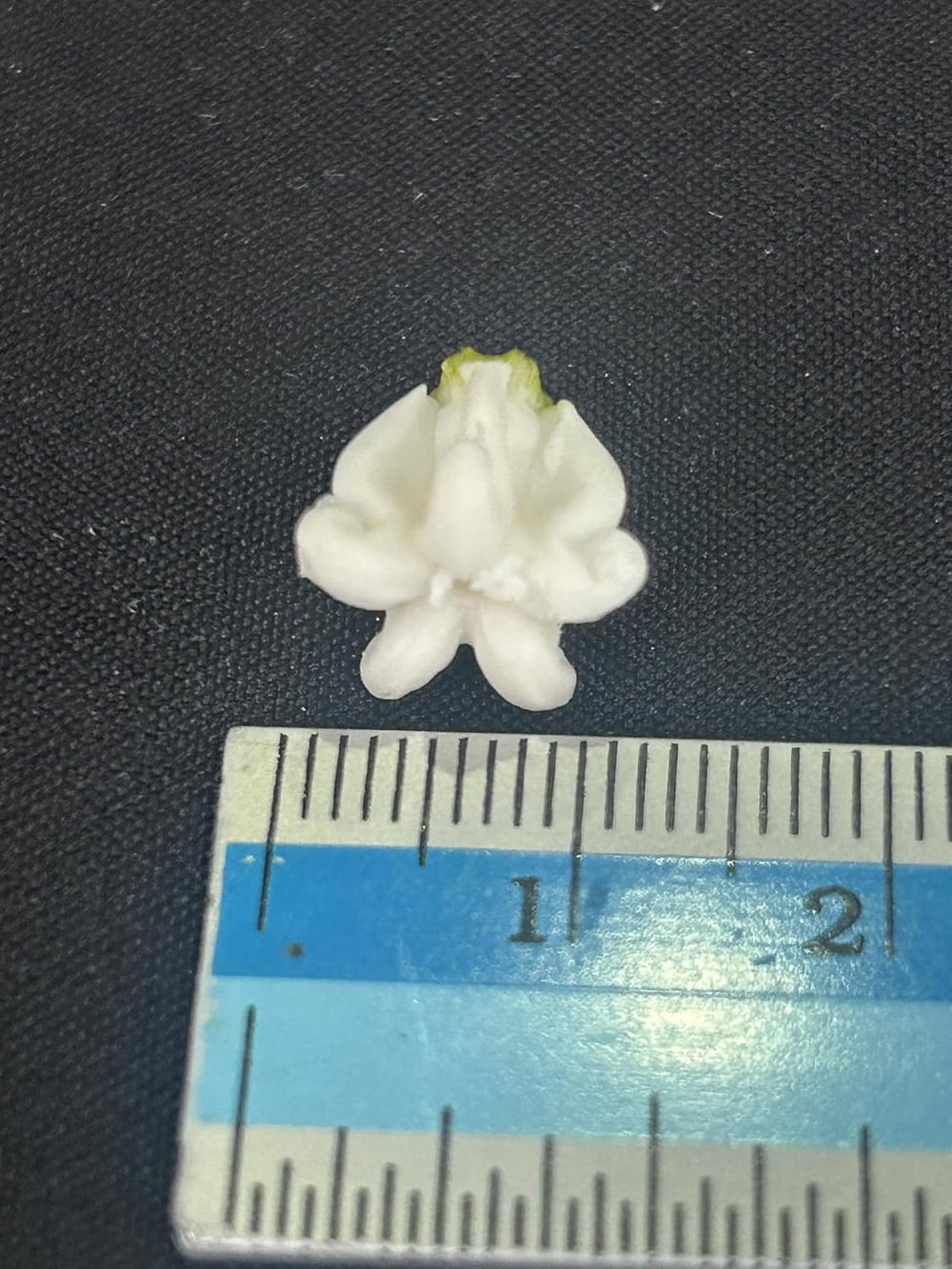 100 PCS Small Calotropis Gigantea Crown Flower Clay Beads (01) for Jewelry Ma...