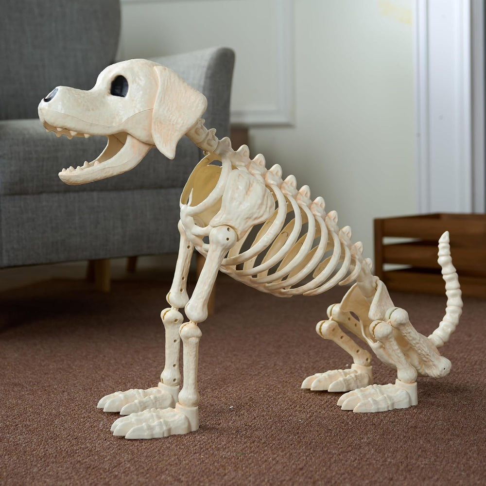 JOYIN Halloween Golden Retriever Skeleton 34” Animal Dog Plastic Skeleton wit...