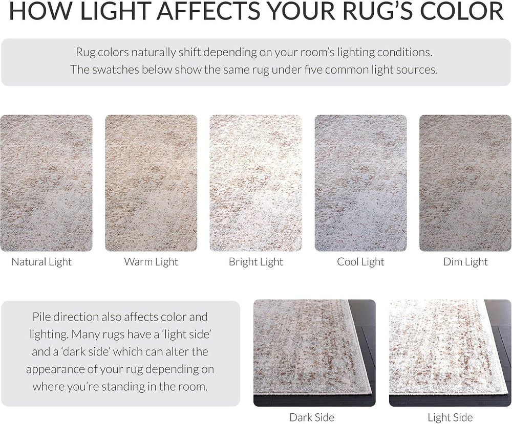 SAFAVIEH Evoke Area Rug 8x10 Large, Ivory & Taupe EVK256E