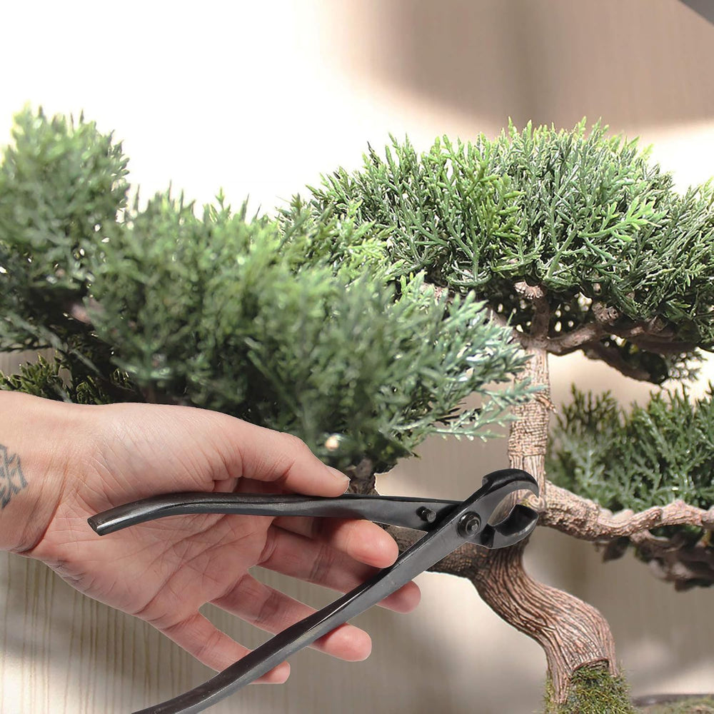 BambooMN Bonsai Tool Kit - 8" Concave Cutter & 8" Knob Cutter -...