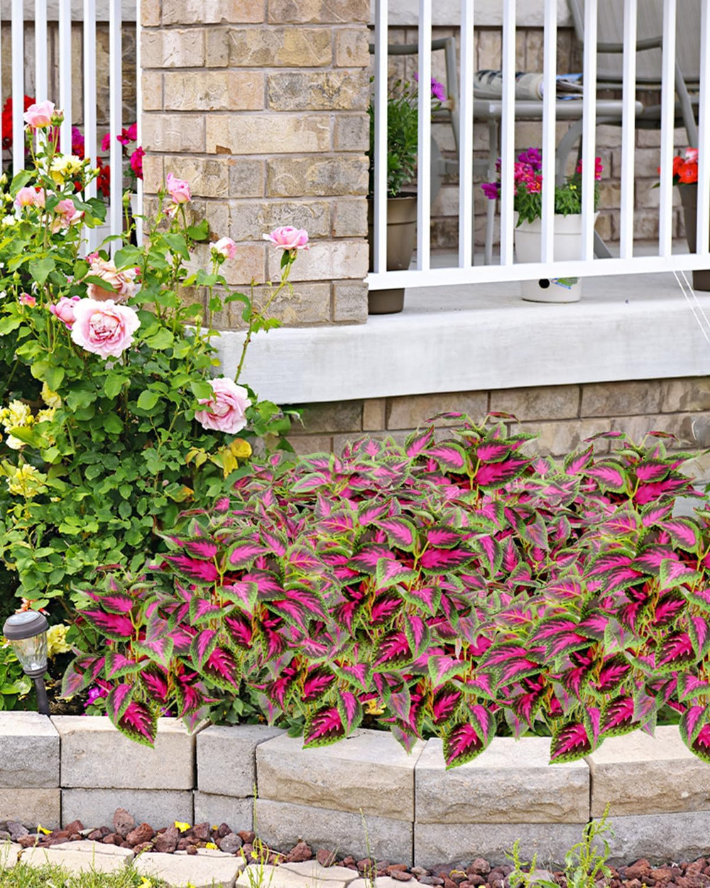 6pc UV Resistant Artificial Outdoor Plants, Faux Coleus Plants.