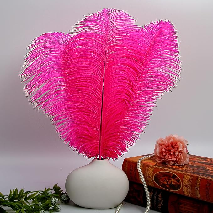 THARAHT Hot Pink Ostrich Feathers 12pcs Large Natural Bulk 20-22Inch 50cm-55cm for Wedding Party Centerpieces Easter Gatsbi and Home Decoration Feathers