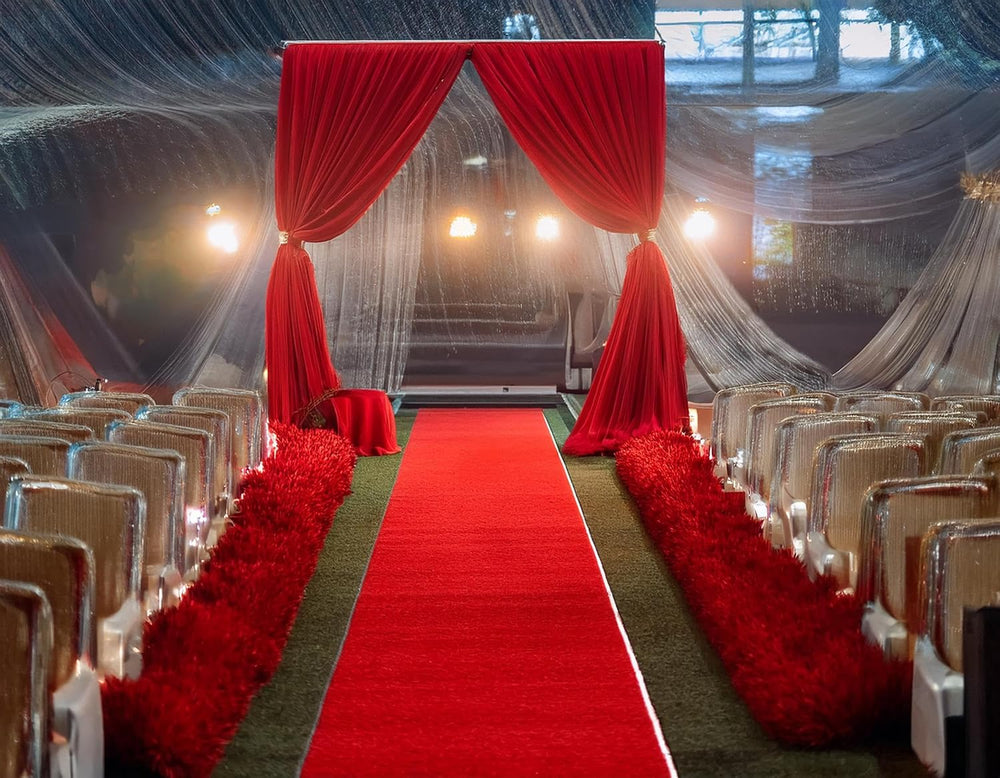Thick Red Carpet Runner for Party,3 x 10ft Non-Slip Backing Aisle Runway Rug ...