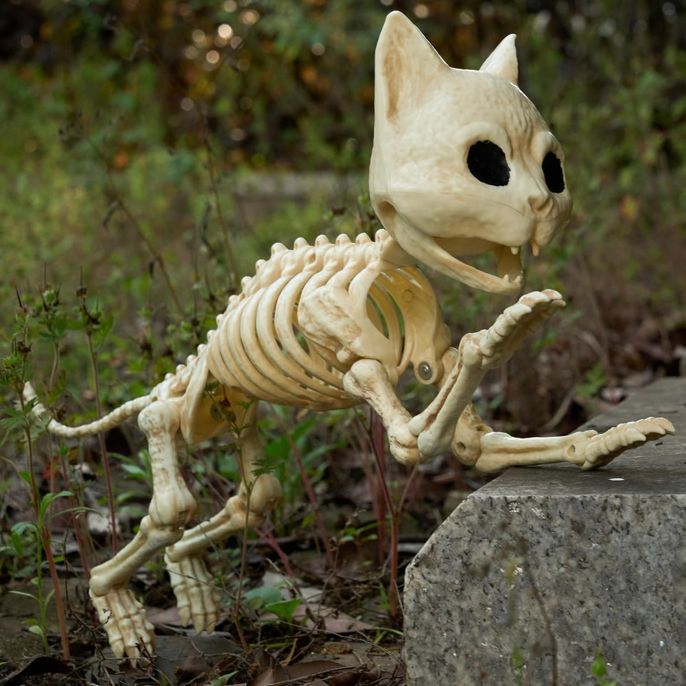 JOYIN Cat Skeleton Halloween Decorations 8 Inch Plastic Animal Skeletons with...