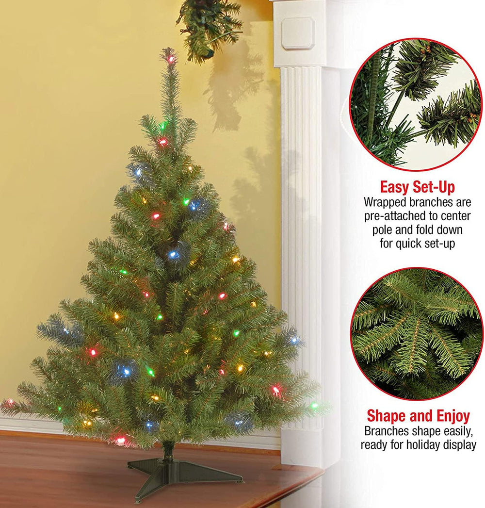 National Tree Company 4ft Pre-Lit Kincaid Spruce Medium Christmas Tree