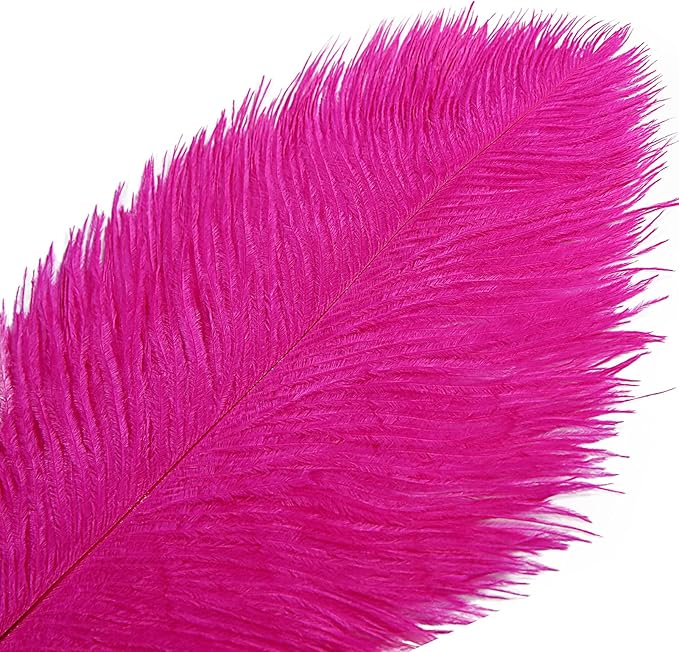 THARAHT Hot Pink Ostrich Feathers 12pcs Large Natural Bulk 20-22Inch 50cm-55cm for Wedding Party Centerpieces Easter Gatsbi and Home Decoration Feathers