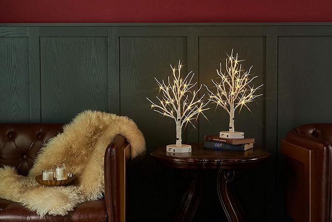 LITBLOOM Lighted Birch Tree with Timer Battery Operated or USB Plug-in 18IN 24 LED, Easter Trees with Lights for Wedding Party Home Fireplace Table Decoration