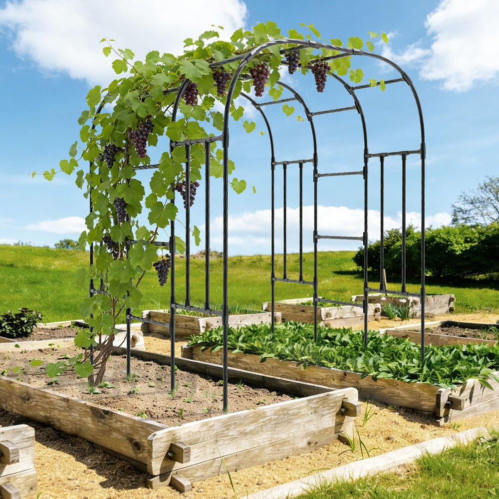 Garden Arch Trellis - 69"L*71"W*87"H, Trellis for Climbing Pla...