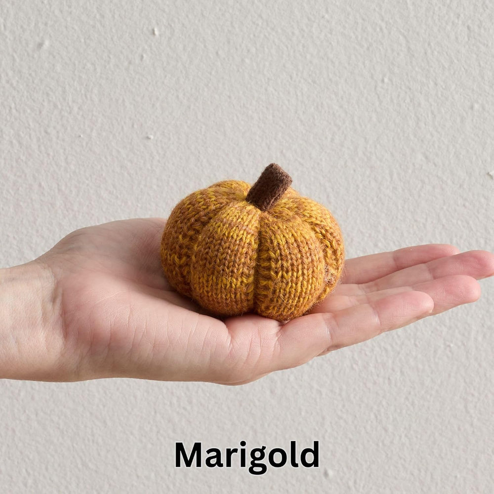 Cozy Mini Knit Pumpkin Set of 12 (Spiced Maple Full Set)