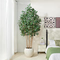 VeriNatural 8ft Artificial Ficus Tree with White Plante&Real Wood Trunks
