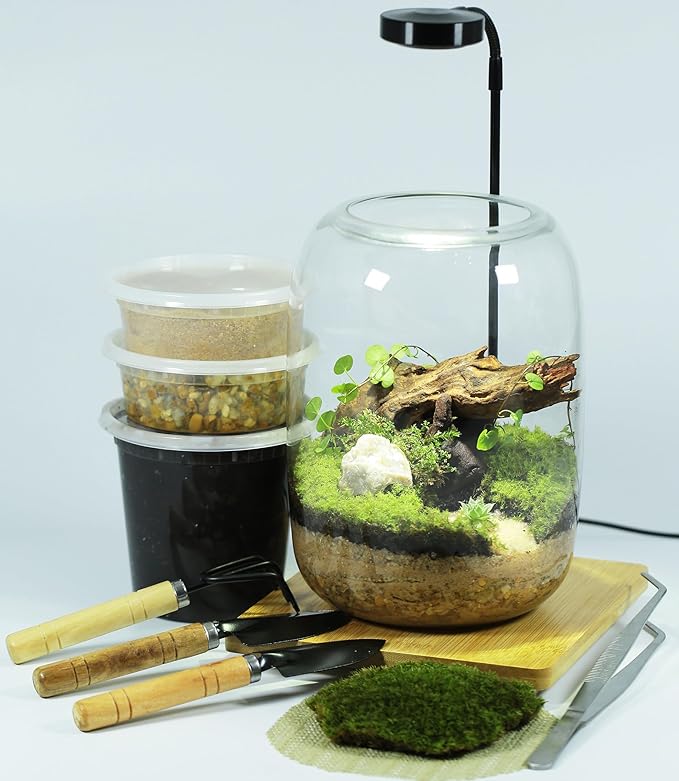 Terrarium Kit with Grow Light, Succulent Plants, Mini Gardening Set - Includes Jar, Tools, Moss, Rocks, Driftwood & Decor (24-Piece)