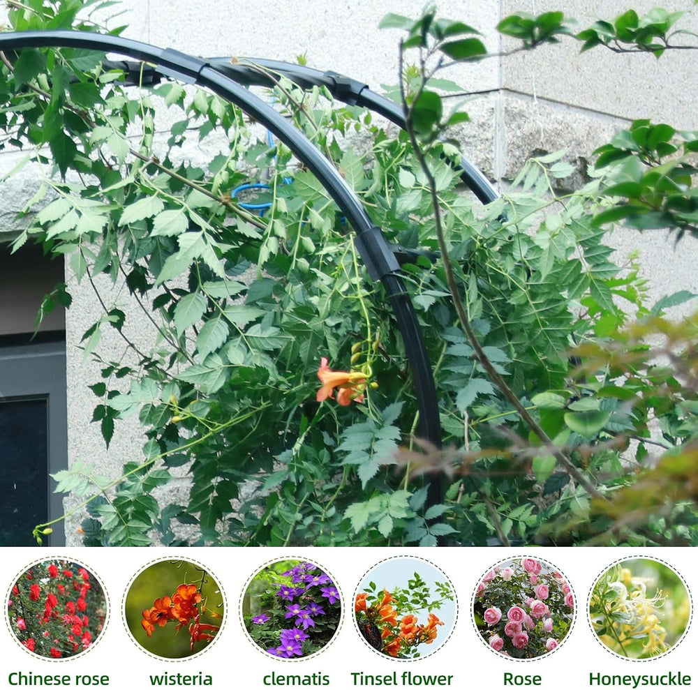 Half Arch Trellis - Garden Arch Trellis Size: 24in(L)*94.5in(H)