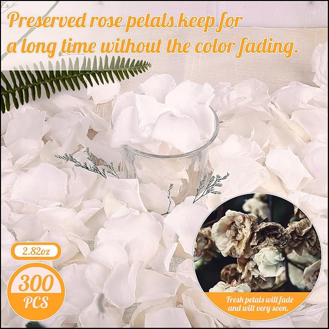 300 PCS Real White Rose Petals for Wedding, 2.82oz Fresh Rose Petals for Flower Girl to Throw, Flower Petal for Romantic Night Table Shower Party Decor