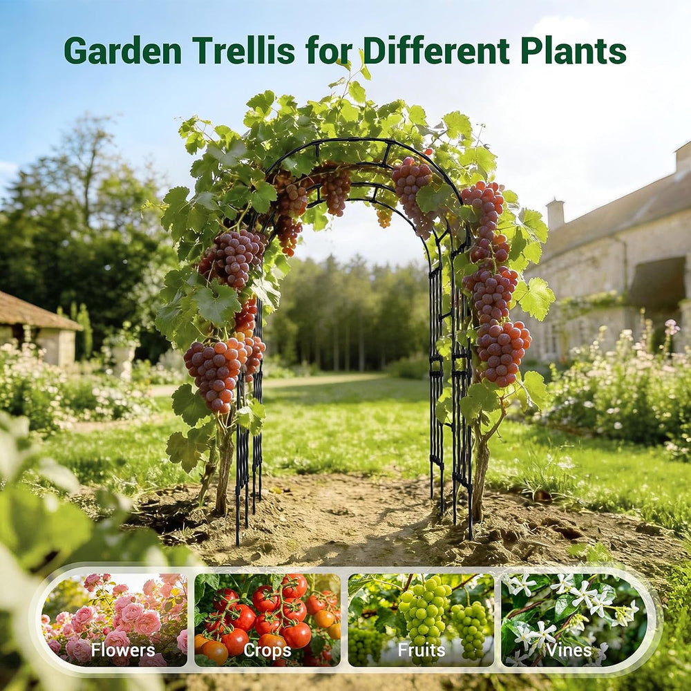 Miory Garden Arch Trellis for Climbing Plants Outdoor, 3.9x7.9ft Steel with P...