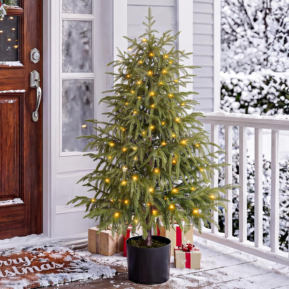 OasisCraft 4ft Pre-Lit Norfolk Pine Tree, Cordless, Real Touch