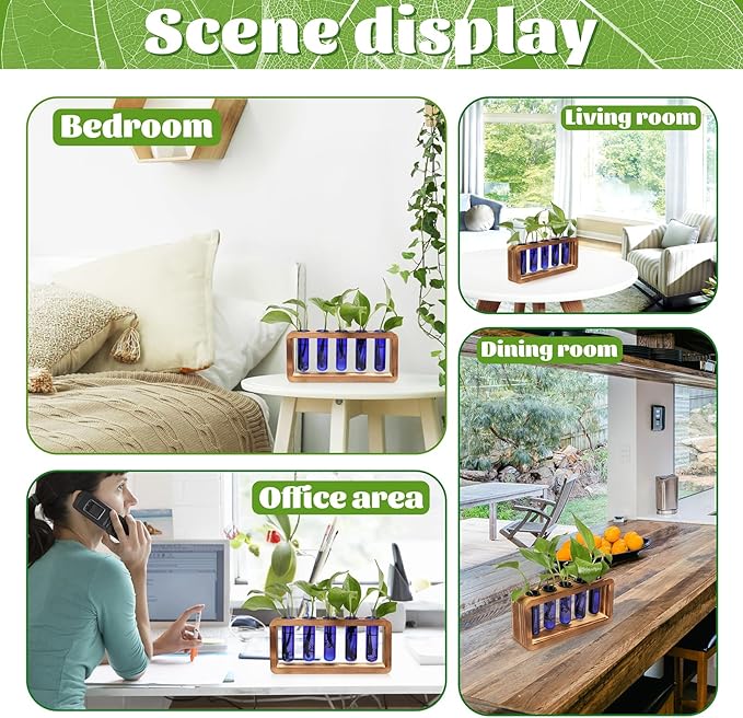 Glass Plant Propagation Station with 5 Test Tubes Colorful Planter Vase Birthday Gifts for Women in Wooden Stand