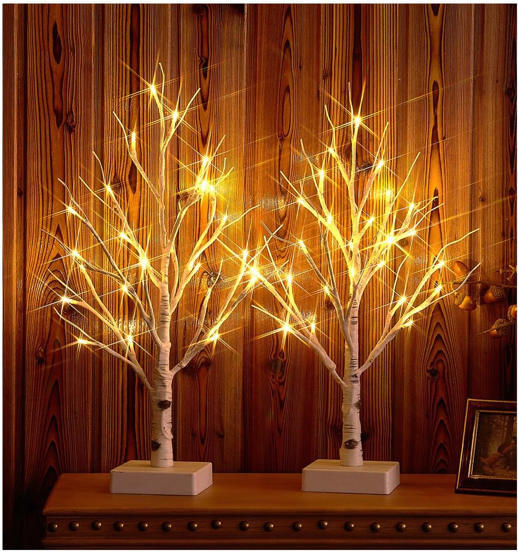 Hairui Pre-lit Tabletop Birch Tree with Timer 24LED 18IN Battery Operated for Christmas Father's Day Party Decoration 2 Sets