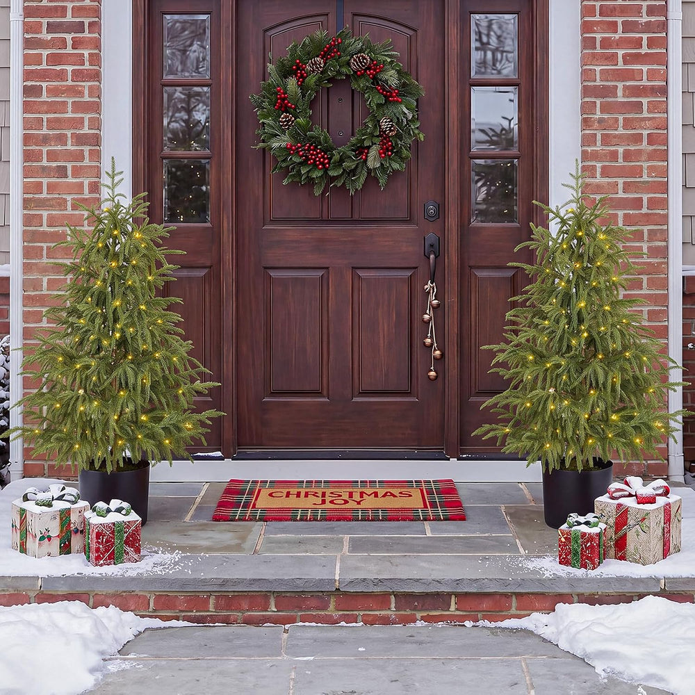 OasisCraft 4ft Pre-Lit Norfolk Pine Tree, Cordless, Real Touch
