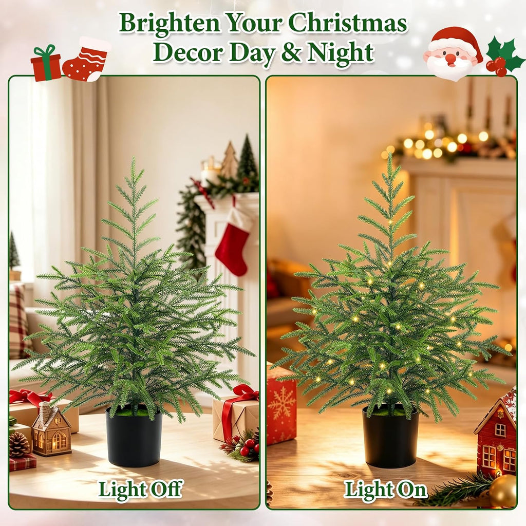 2 Ft Real Touch Christmas Tree with Lights, Realistic Norfolk Pine Tree
